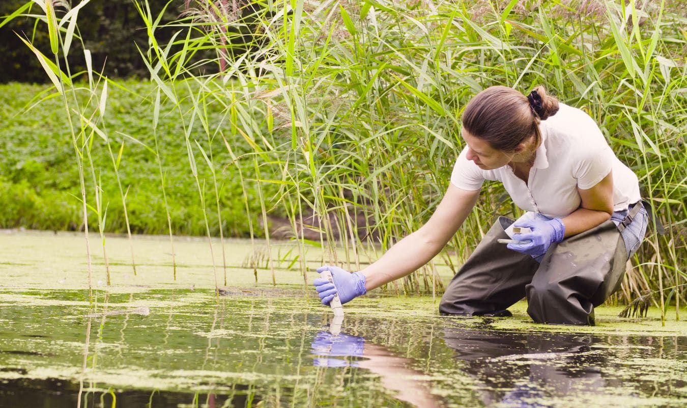 Ecologist Measuring PH Environmental Consulting And Technology