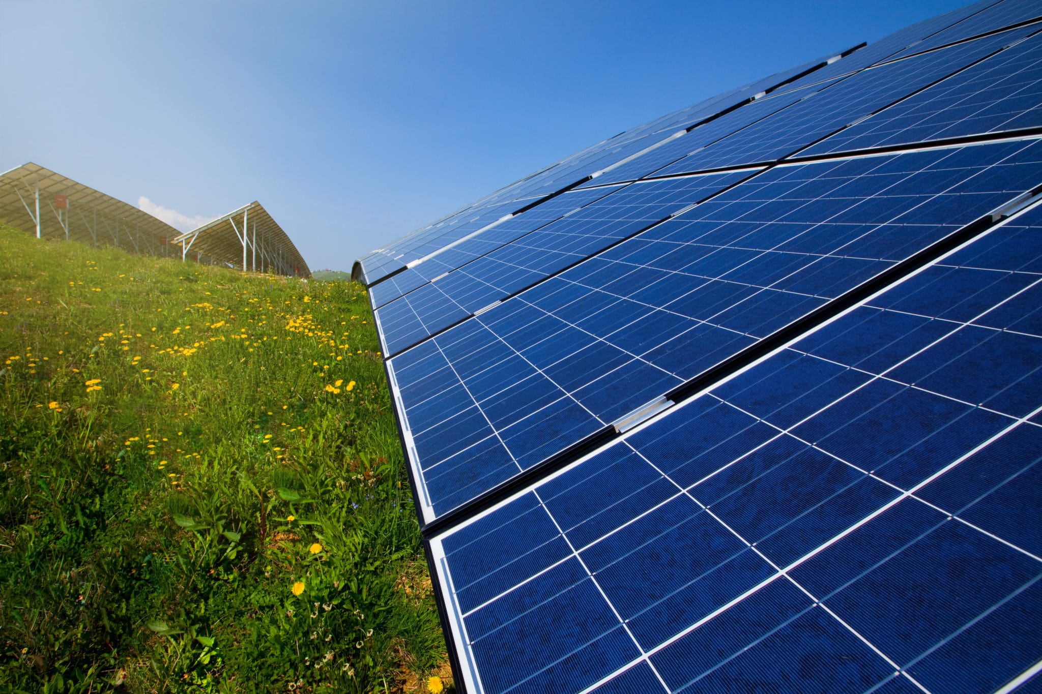 Solar panels, blue sky and green grass in bright sunshine