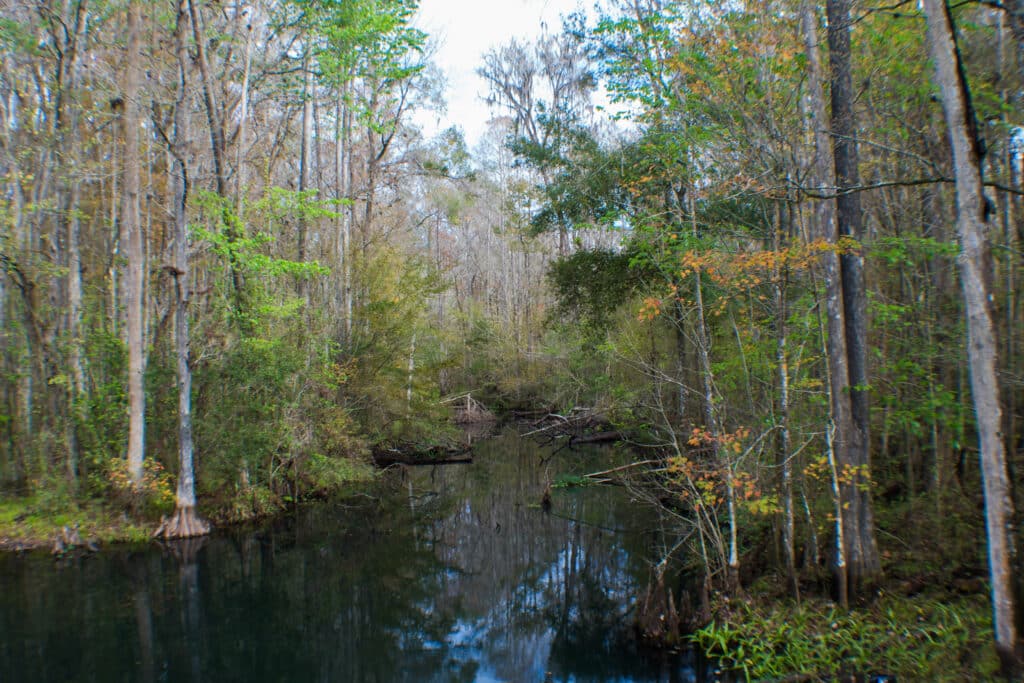 Creek flowing
