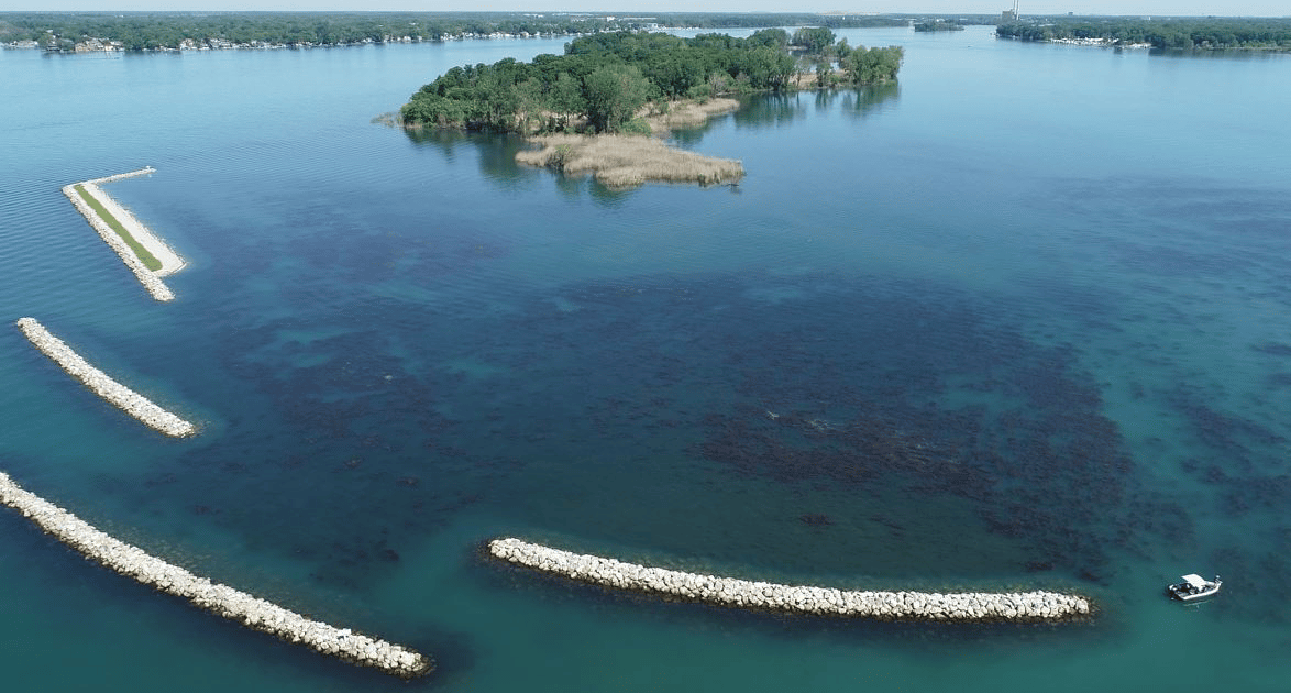 Celeron Island Habitat Restoration