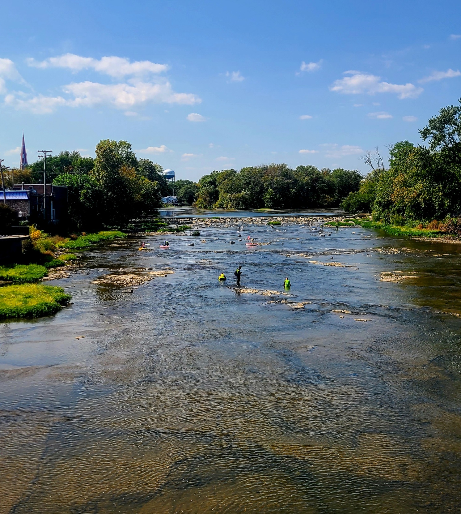 River Raisin Habitat Restoration and Resilience