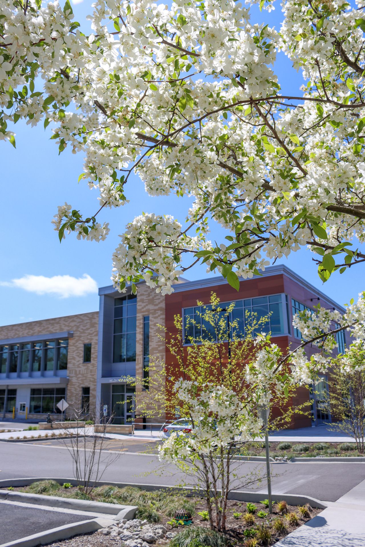 Helen Plum Library