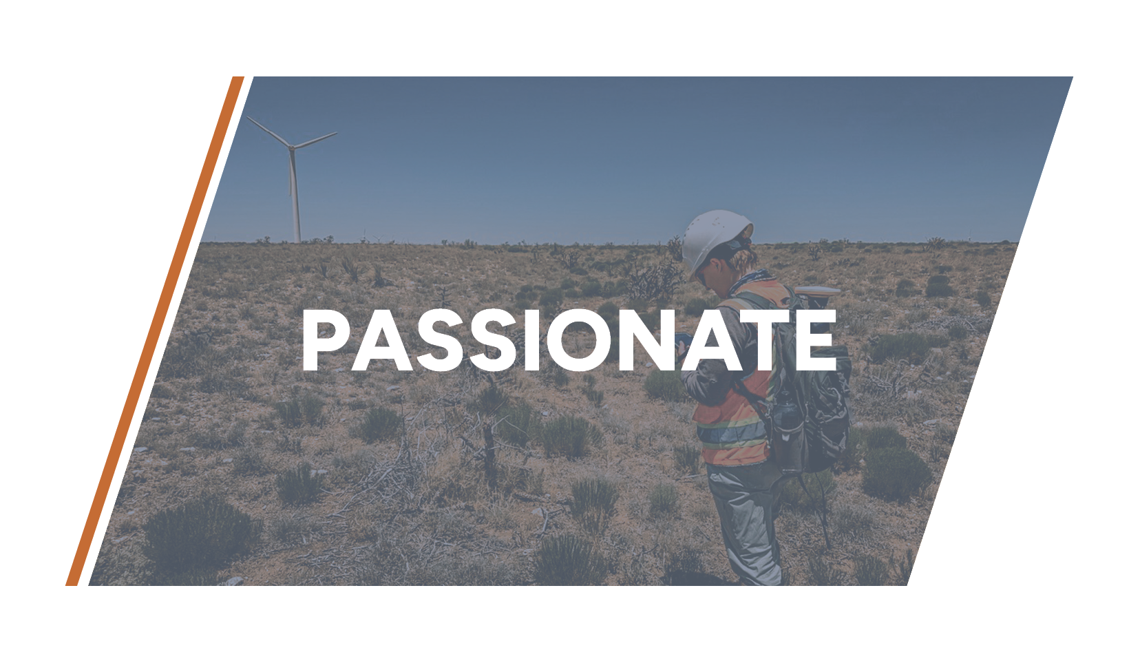 Values Graphic - Passionate