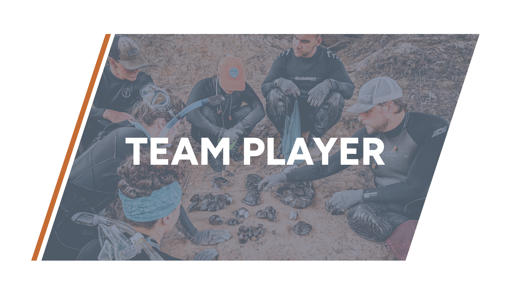 Values Graphic - Team Player